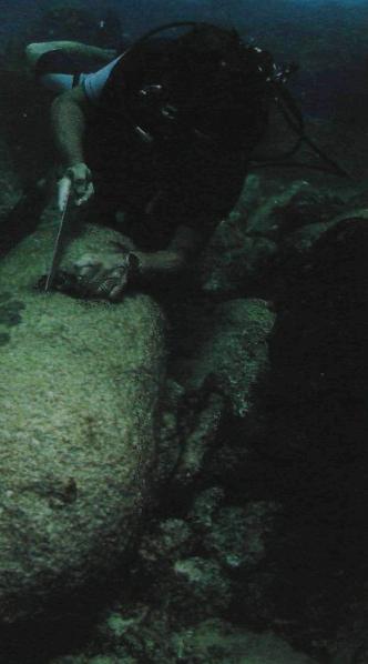 Бактериологическое оружие второй мировой войны